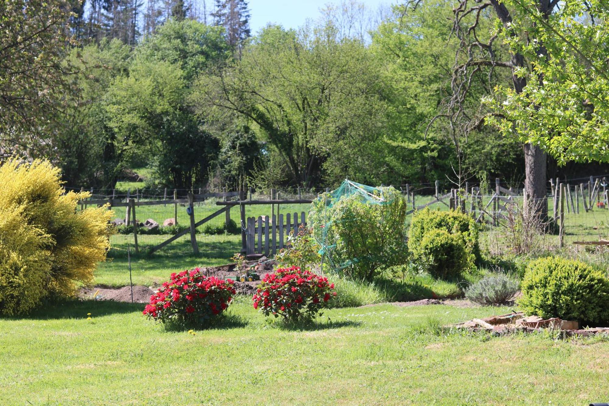 B&B Ferme Du Petit Breuil Вервиерс Екстериор снимка